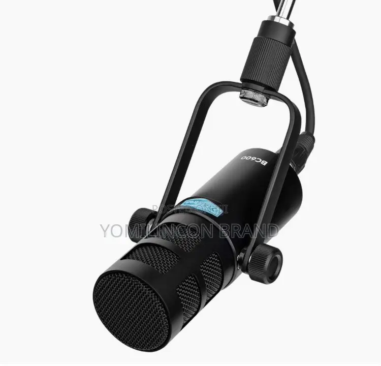 Alctron BC600 Dynamic Broadcasting Mic
