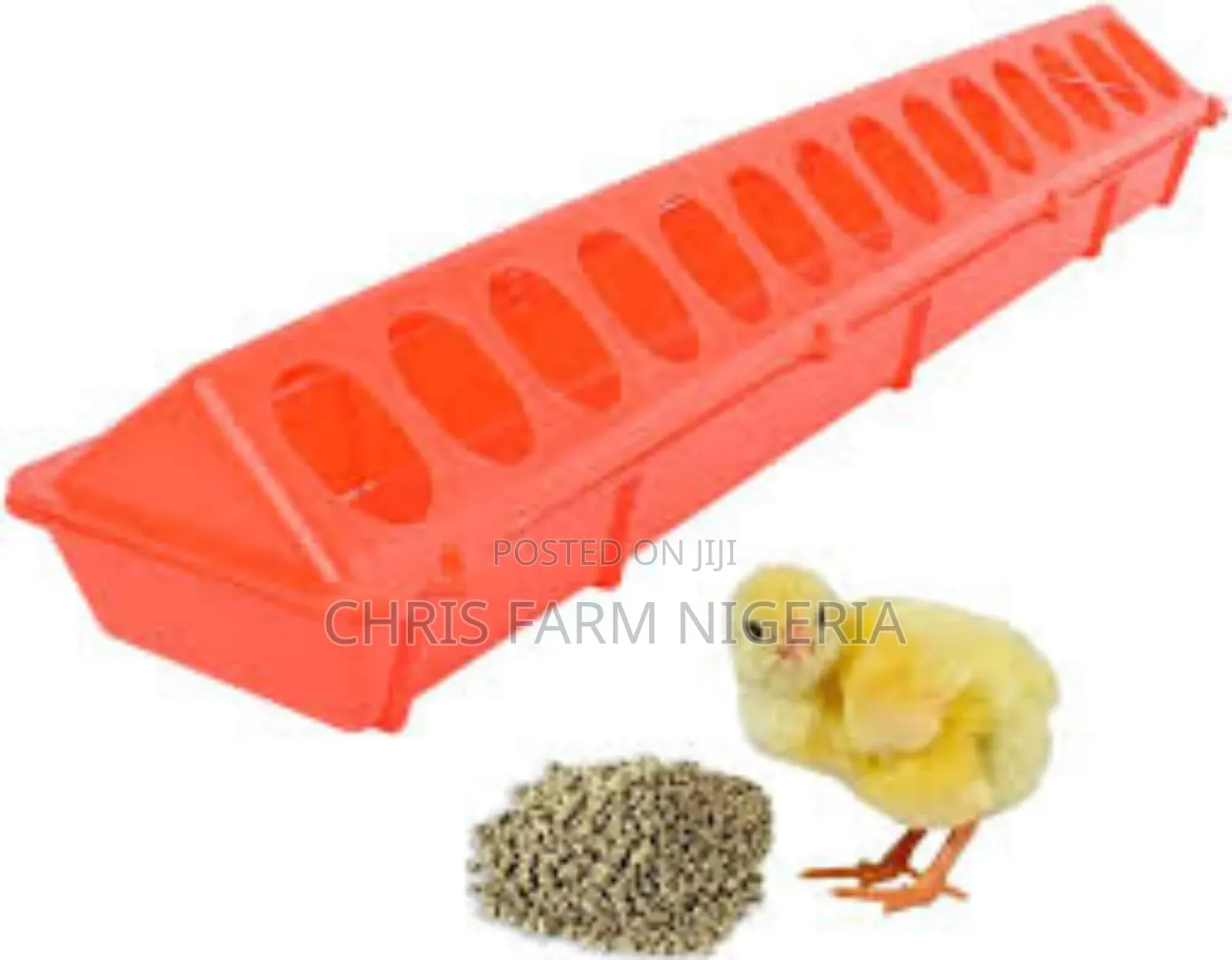 Day Old Chicks Nationwide Distribution
