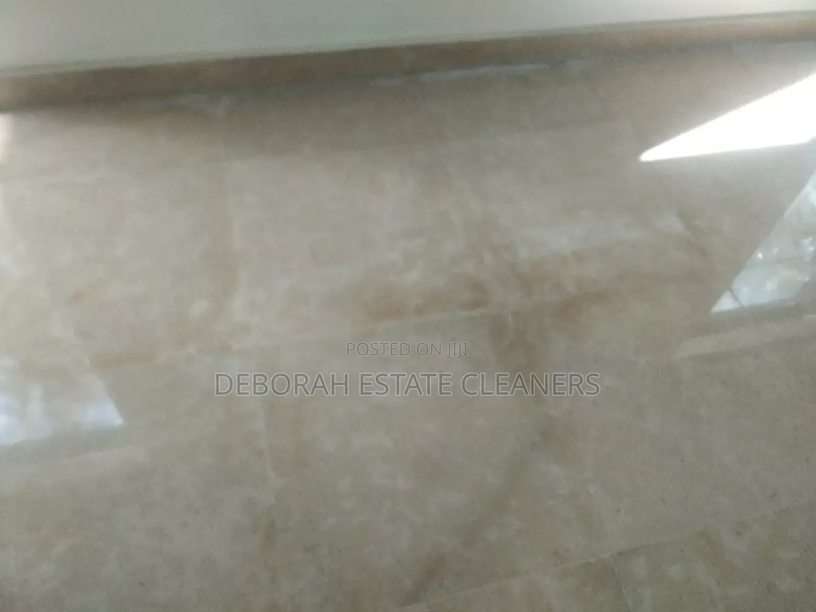 Professional Marbel and Terrazo Floor Rejuvenation