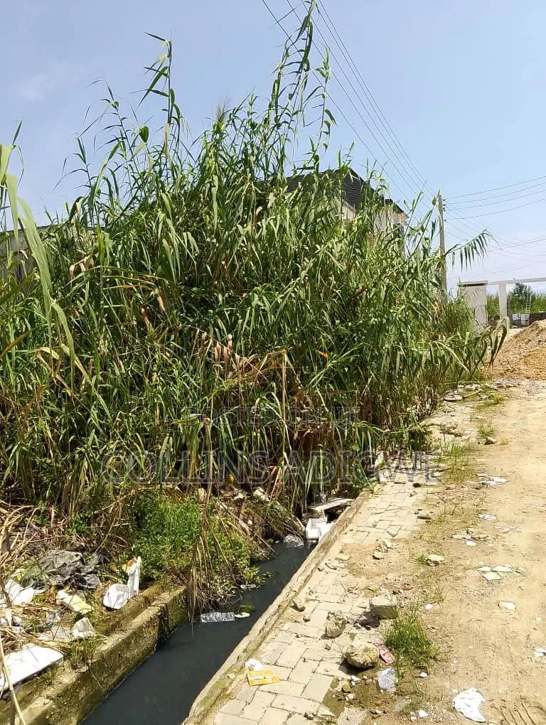 650SQM Land
