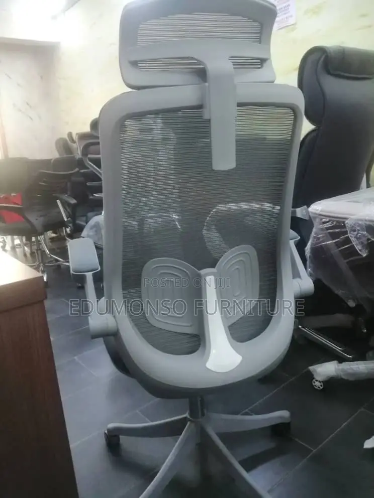 Ergonomic Mesh Executive Chair