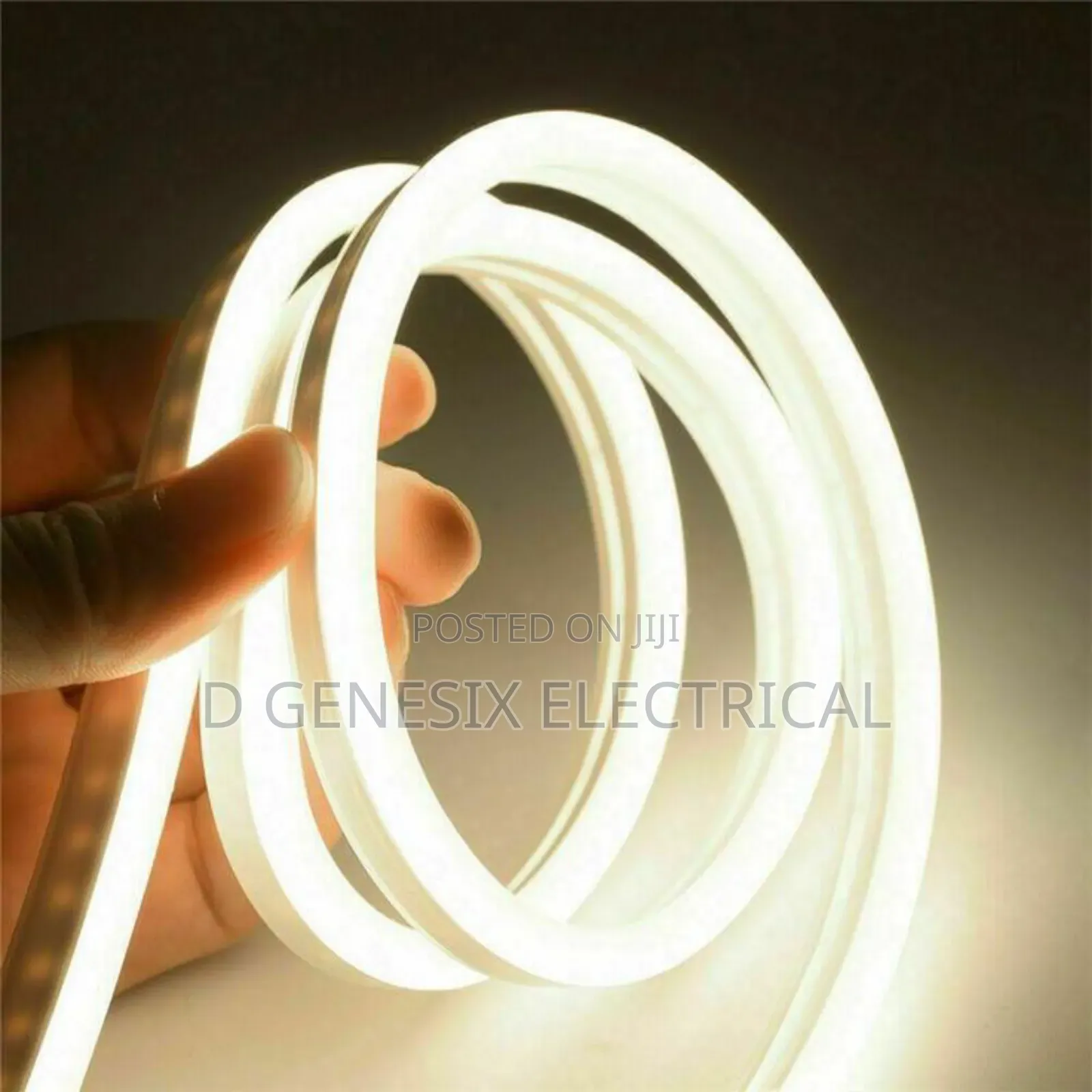 Neon Rope Light