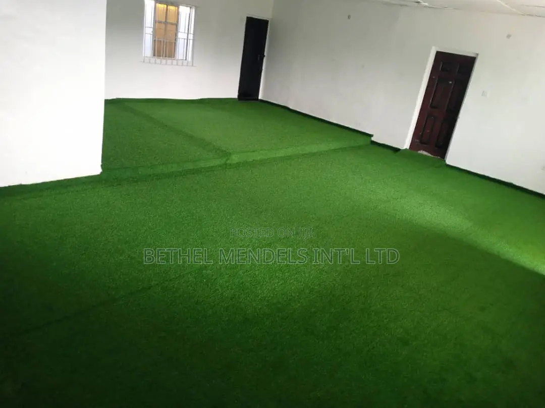 Artificial Carpet Grass for Sales and Installation