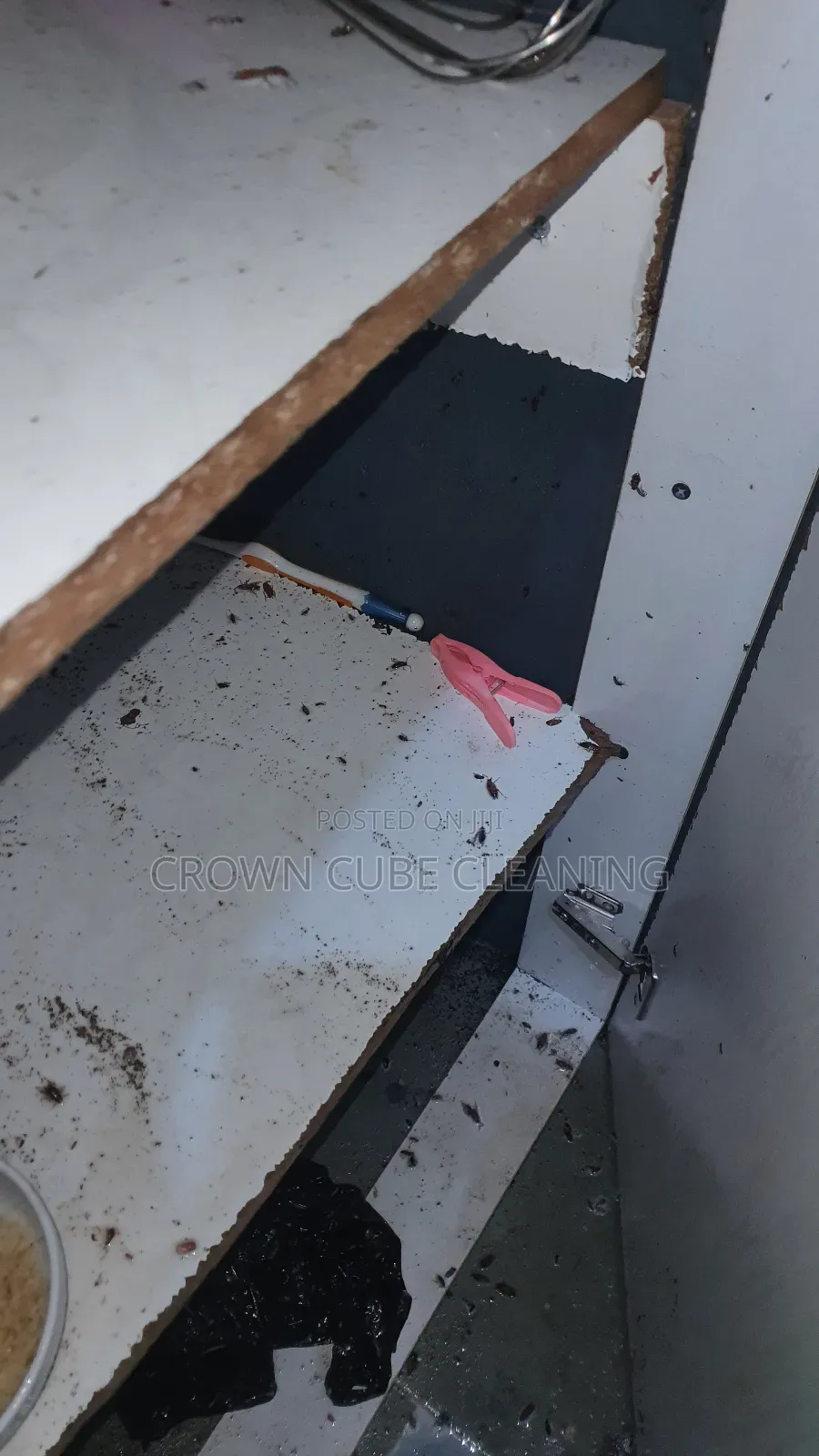 Exterior and Interior Fumigation Services