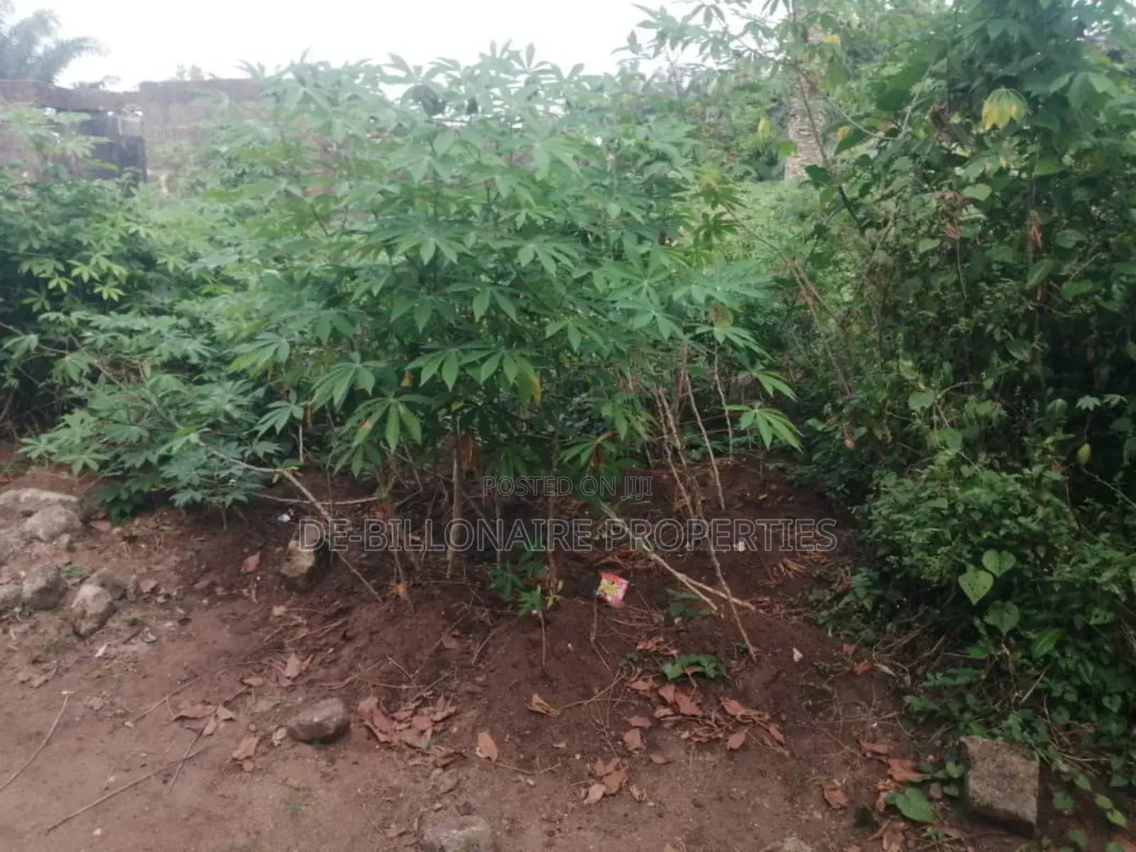 One Plot of Land for Sale at Owaelu Uratta Orji, Owerri