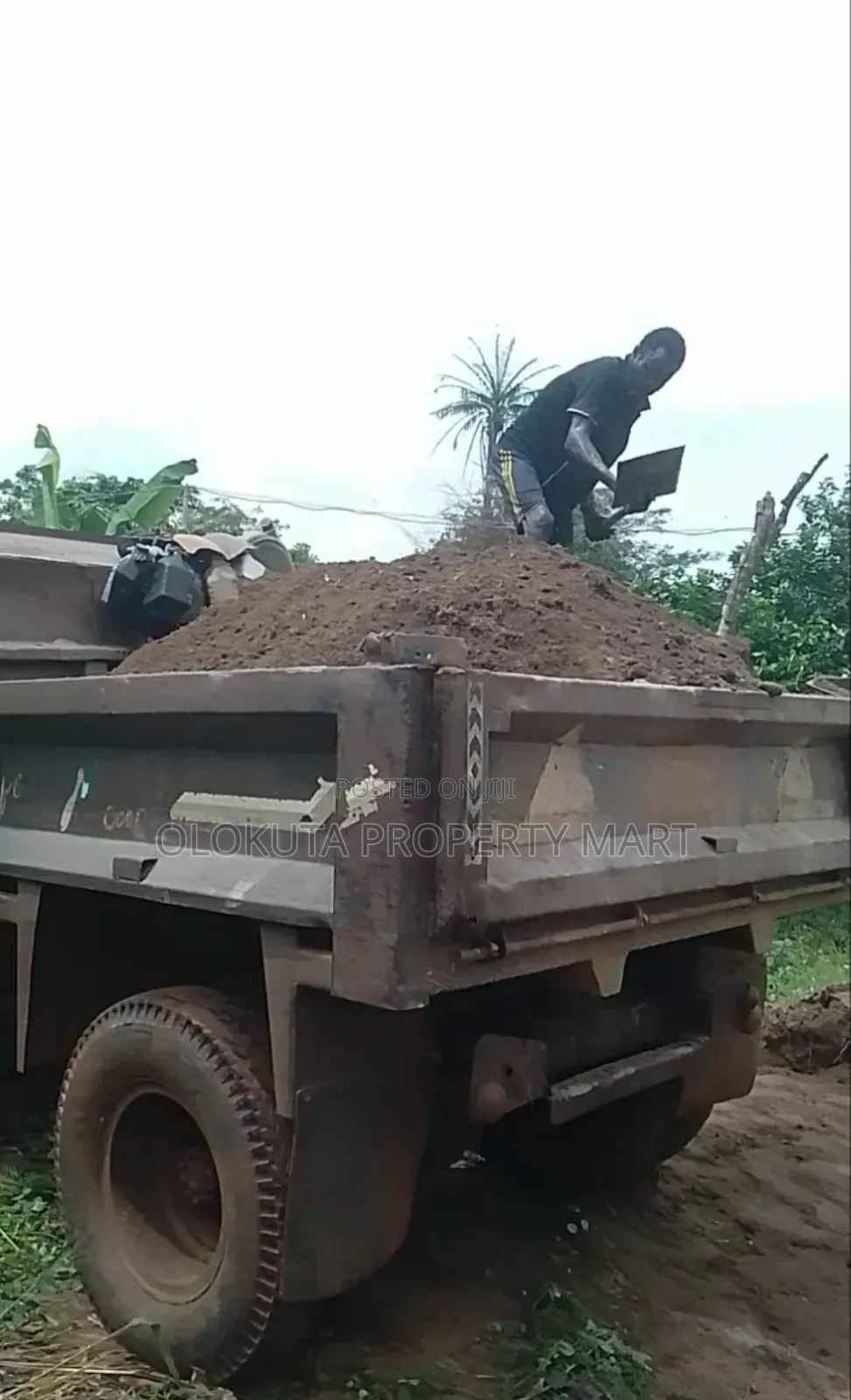 Plaster and Stone Dust