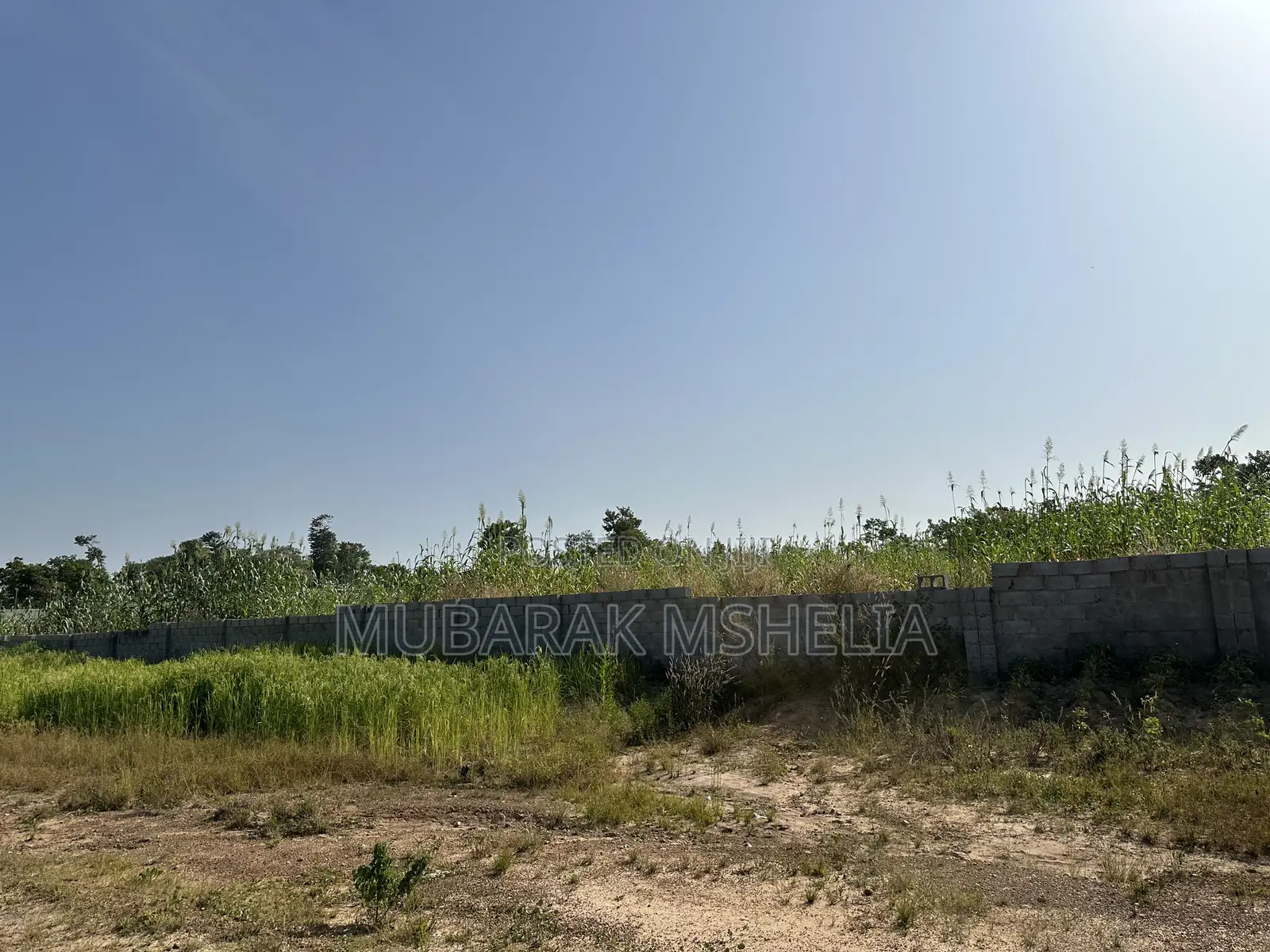 Massive Land for Sale