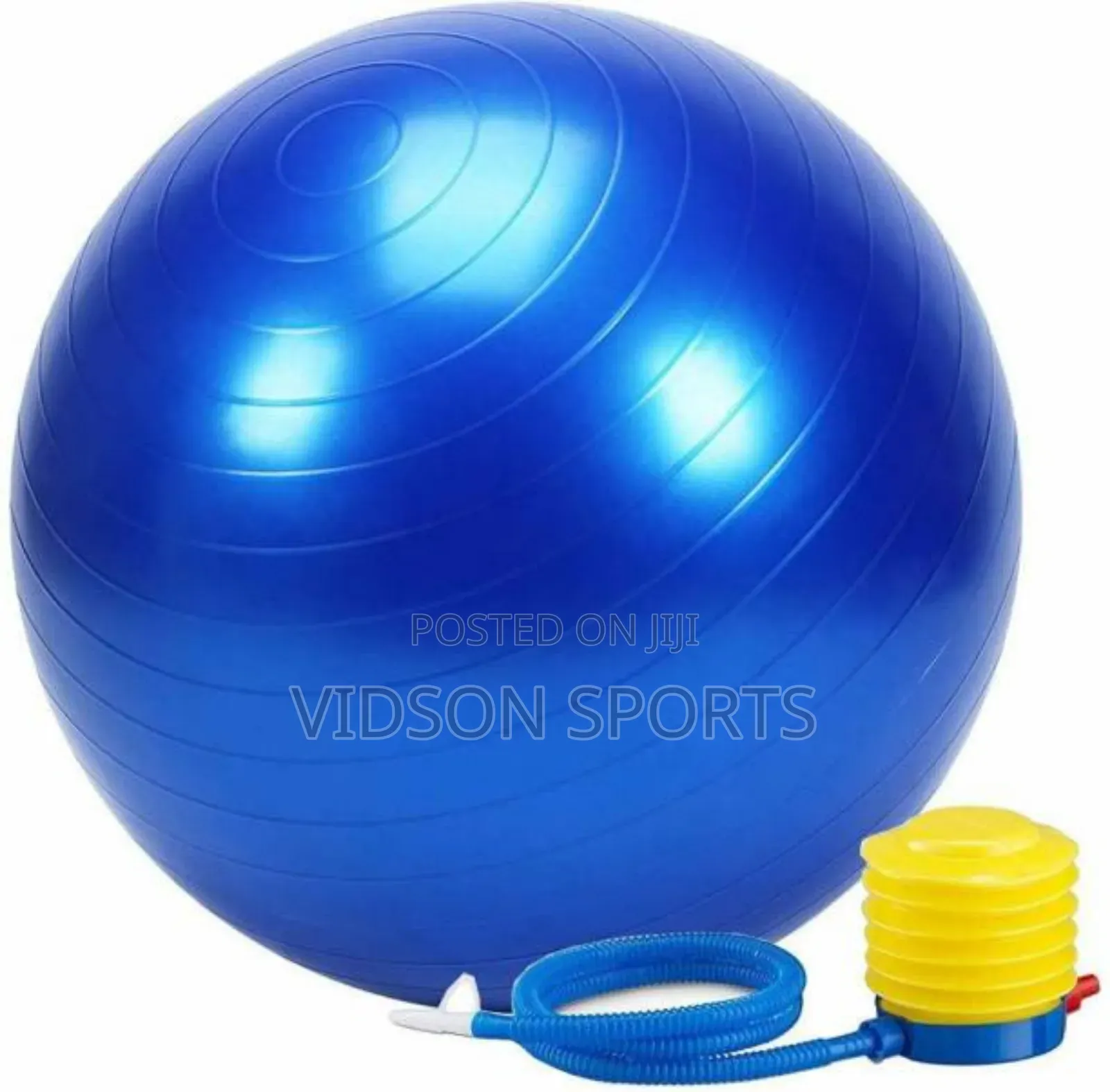 Gym/Exercise Ball