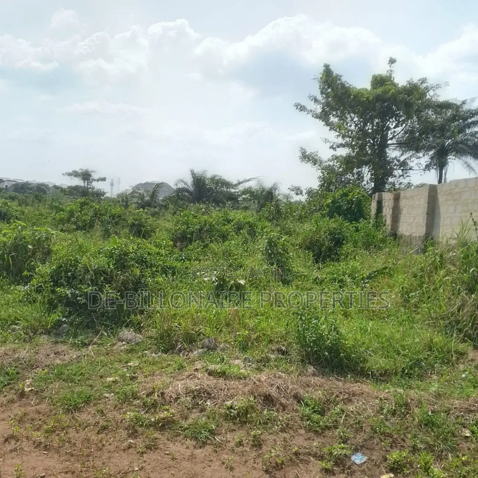 Two Plots Plus Located at Bishop's Court Imsu