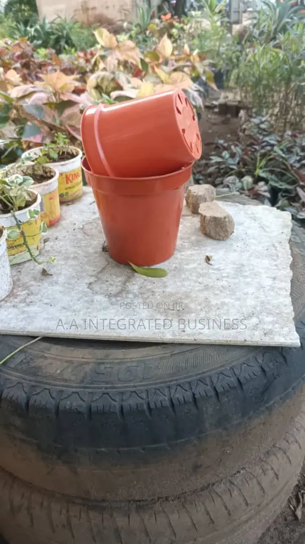 Small Flower Pot Imported
