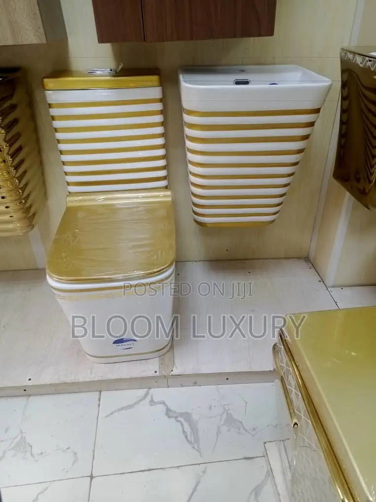 Executive Masters Water Closet With Wall Hung Basin