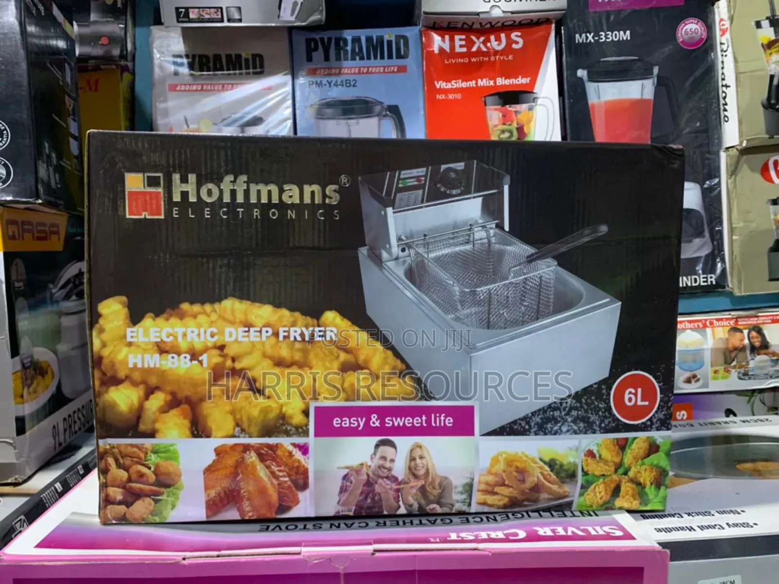 6 Litres Hoffmans Electric Deep Fryer