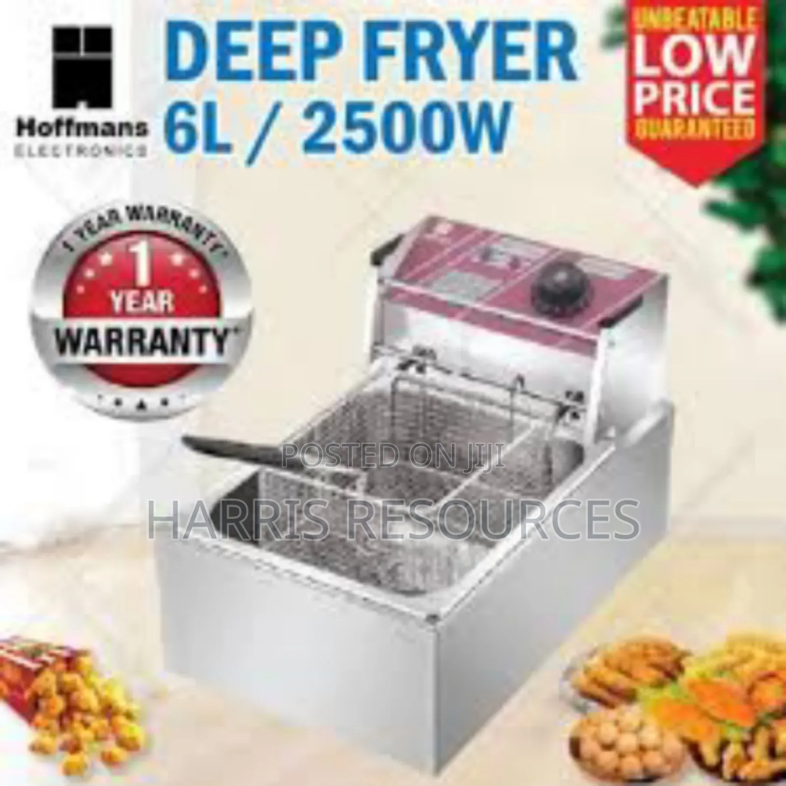 6 Litres Hoffmans Electric Deep Fryer