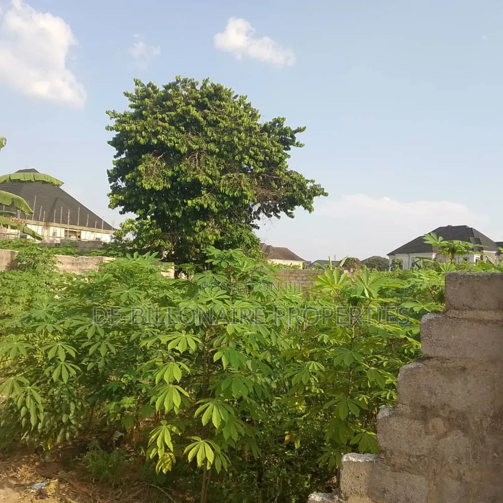 Duly Registered Two Plots of Land Fenced, at Ph Road.