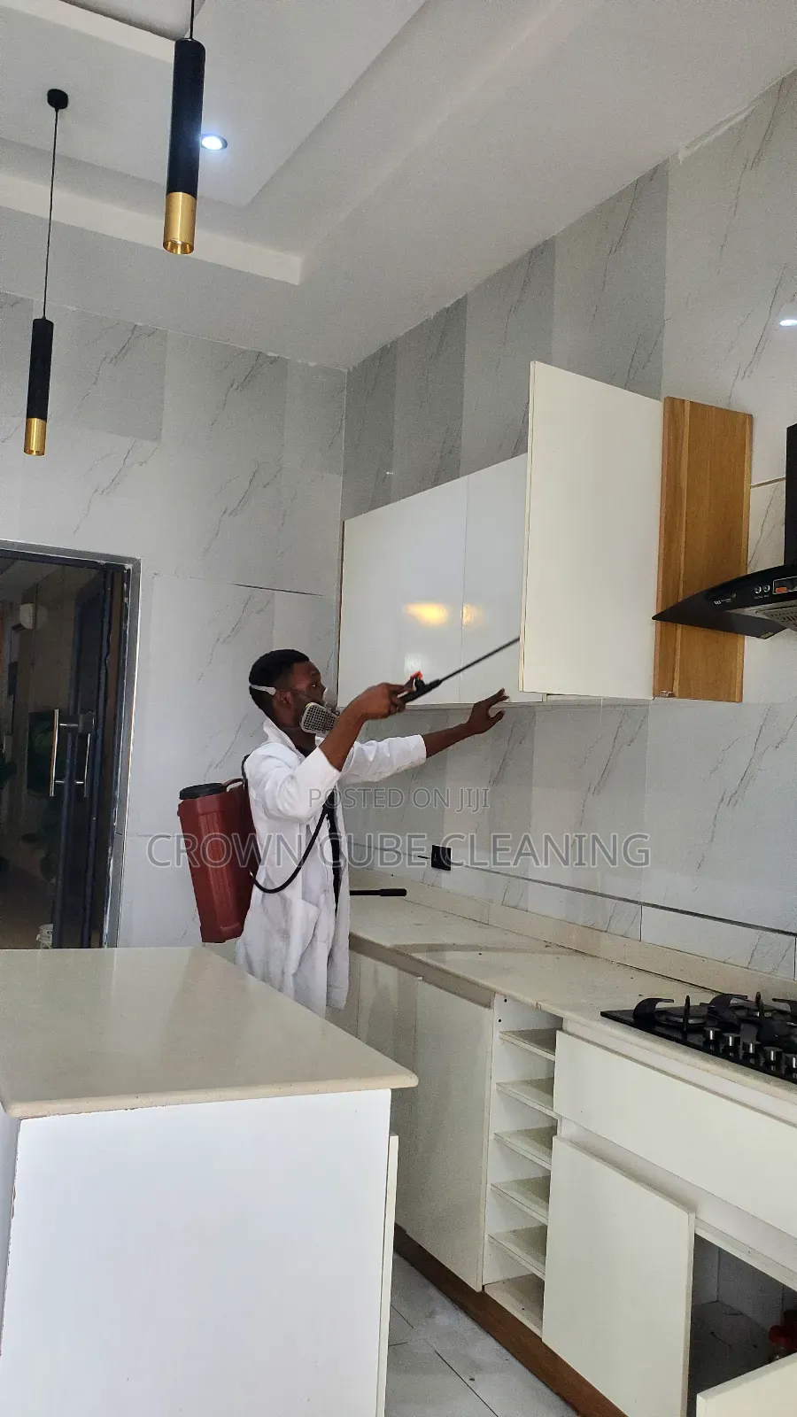 Best Fumigation Services Bedbugs and Pest