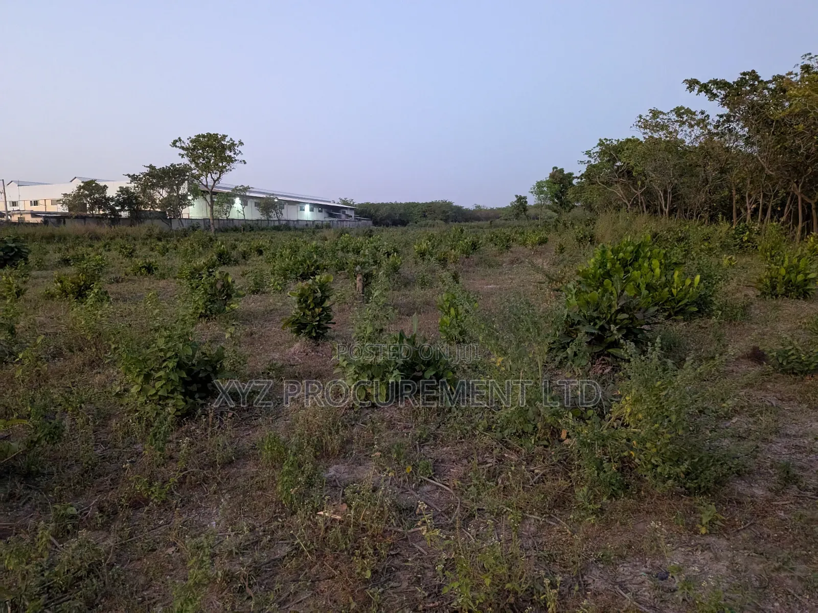 1 Hectare Industrial Plot by Tarred Road Idu (C of O)
