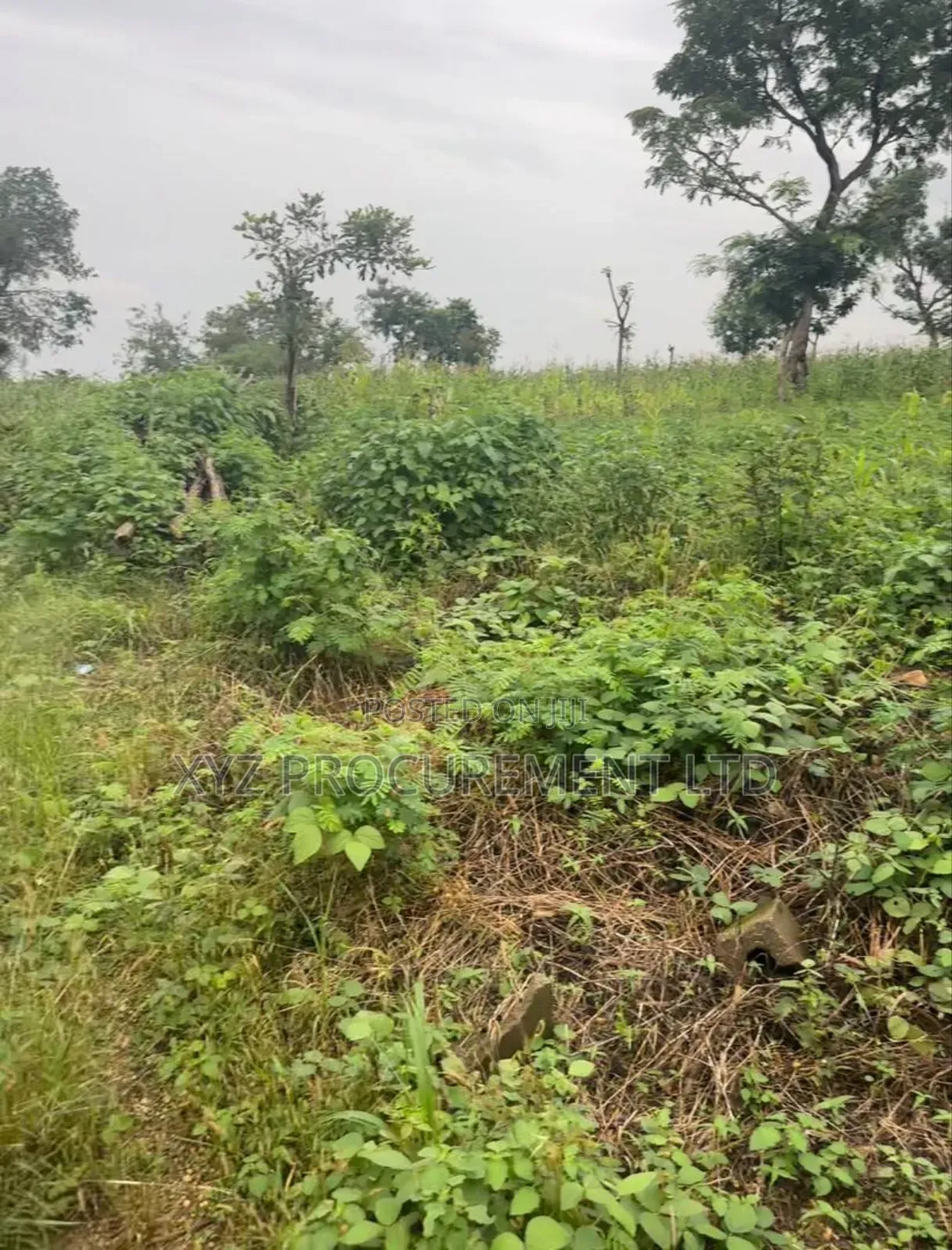 1 Hectare Industrial Plot by Tarred Road Idu (C of O)