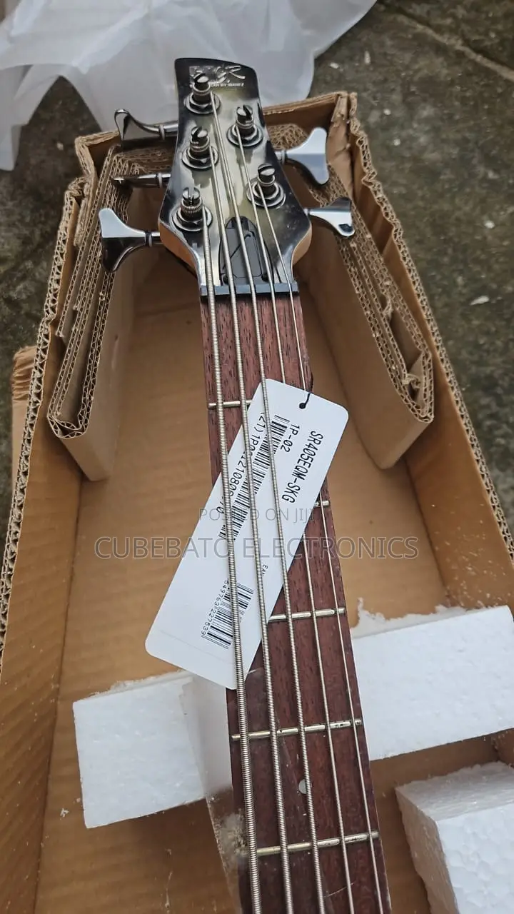 Ibanez Guitar