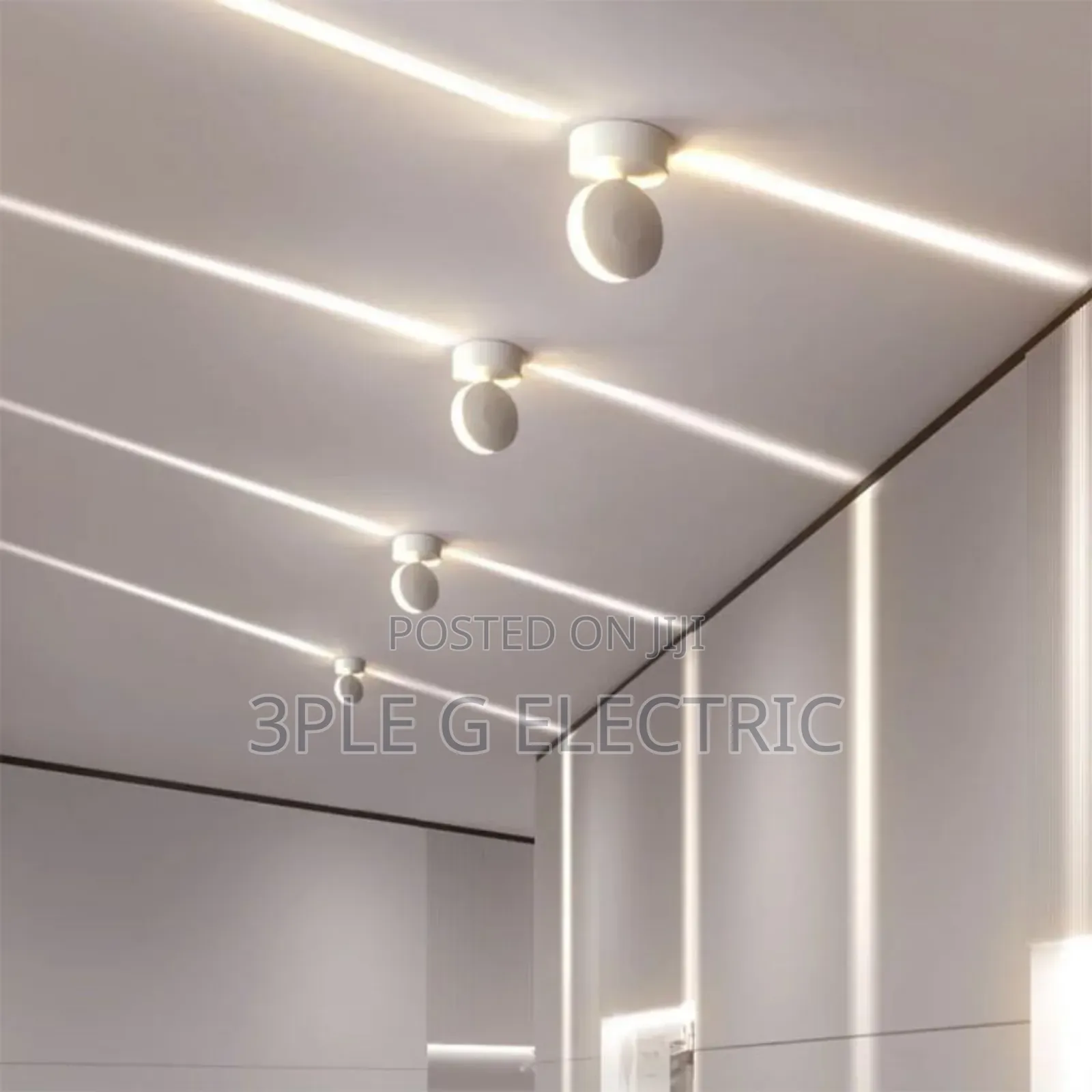 Wall and Ceiling Scone