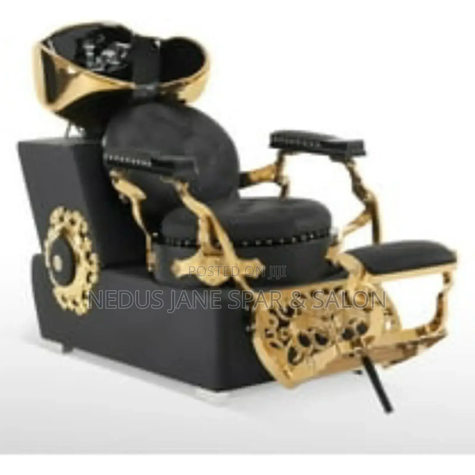Exotic Hair Shampoo Chair