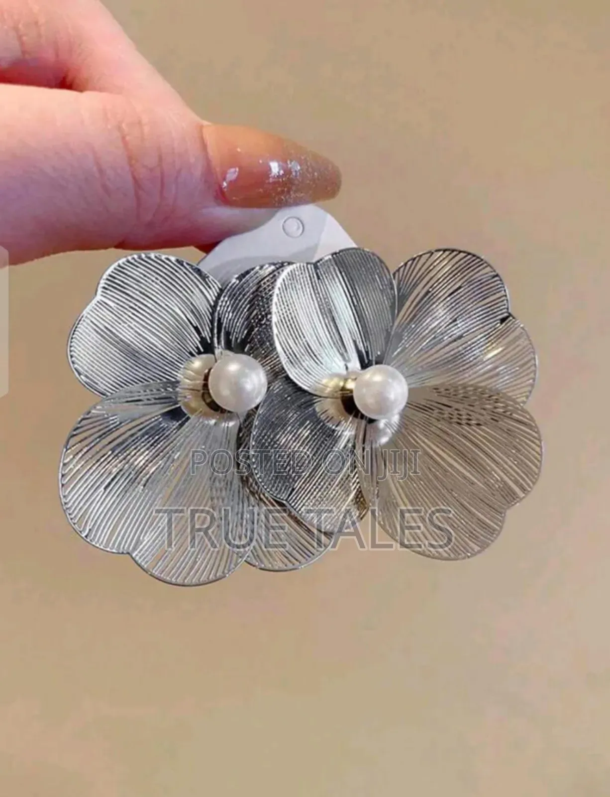Ladies Silver Colour Mesh Earrings Design