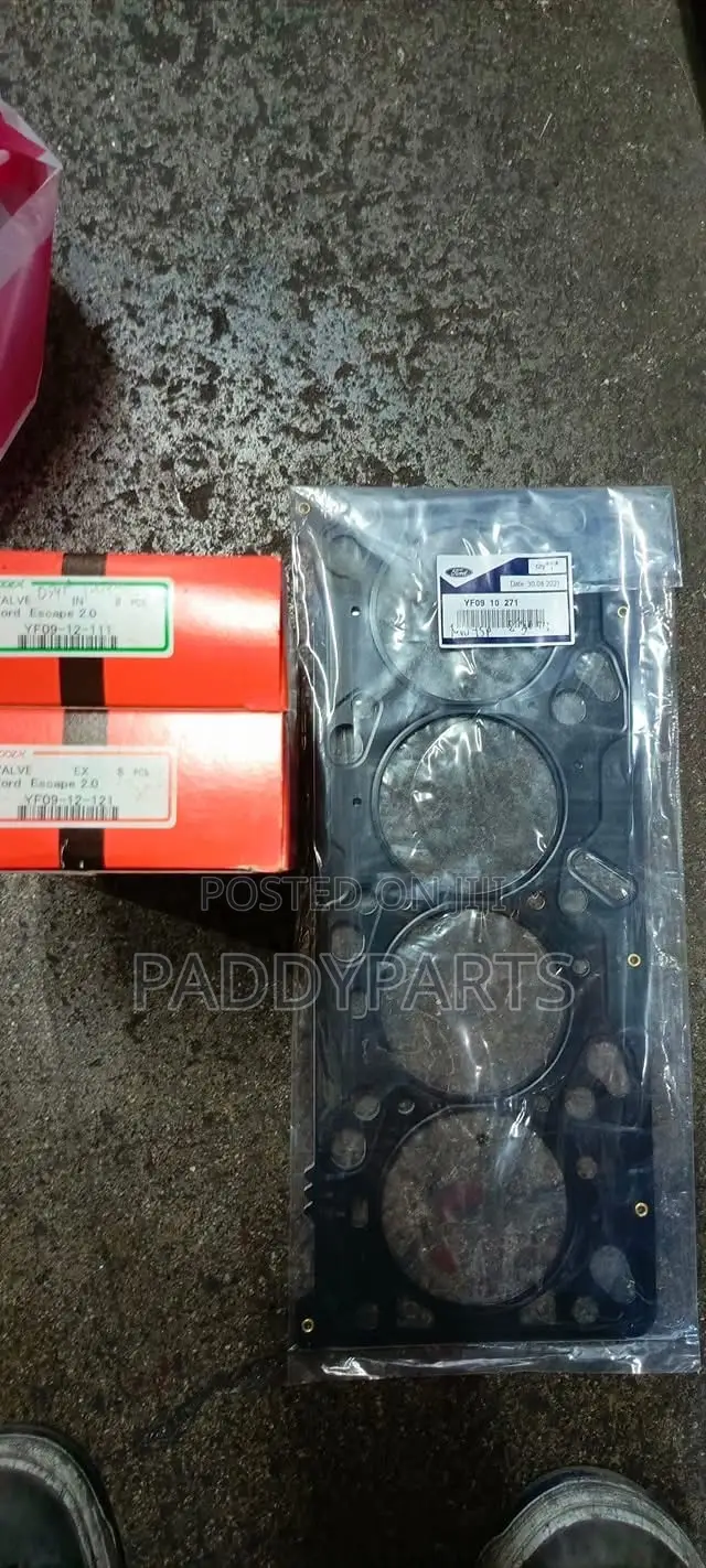 Ford Escape Ecoboost Head/Top Gasket 2.0l