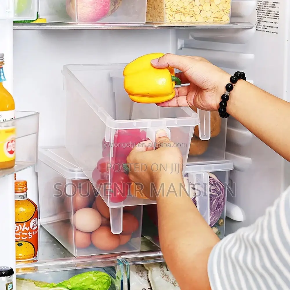 Refrigerator Food Storage Transparent