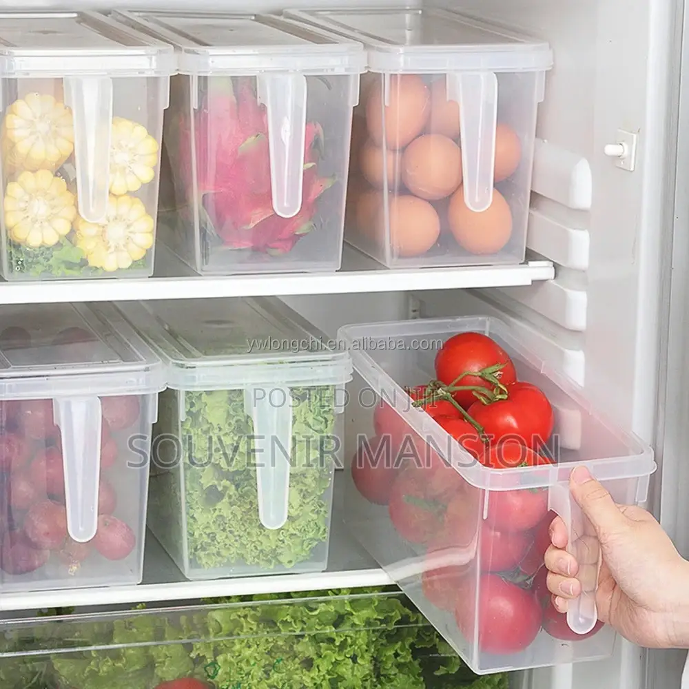 Refrigerator Food Storage Transparent