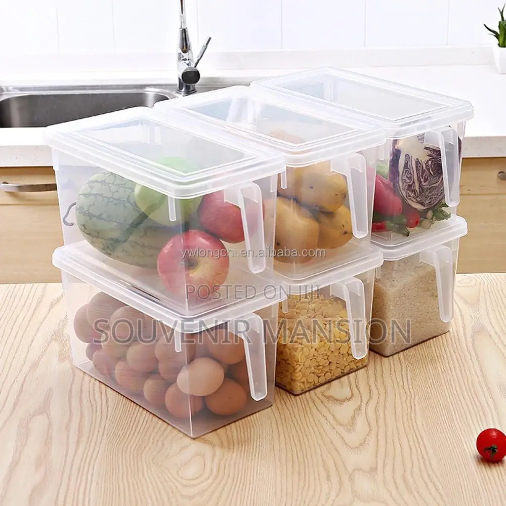 Refrigerator Food Storage Transparent