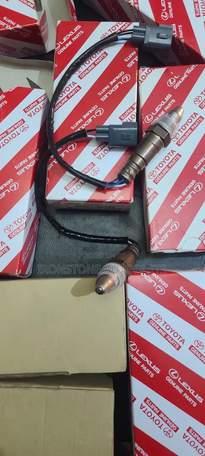 Oxygen / O2 Sensor