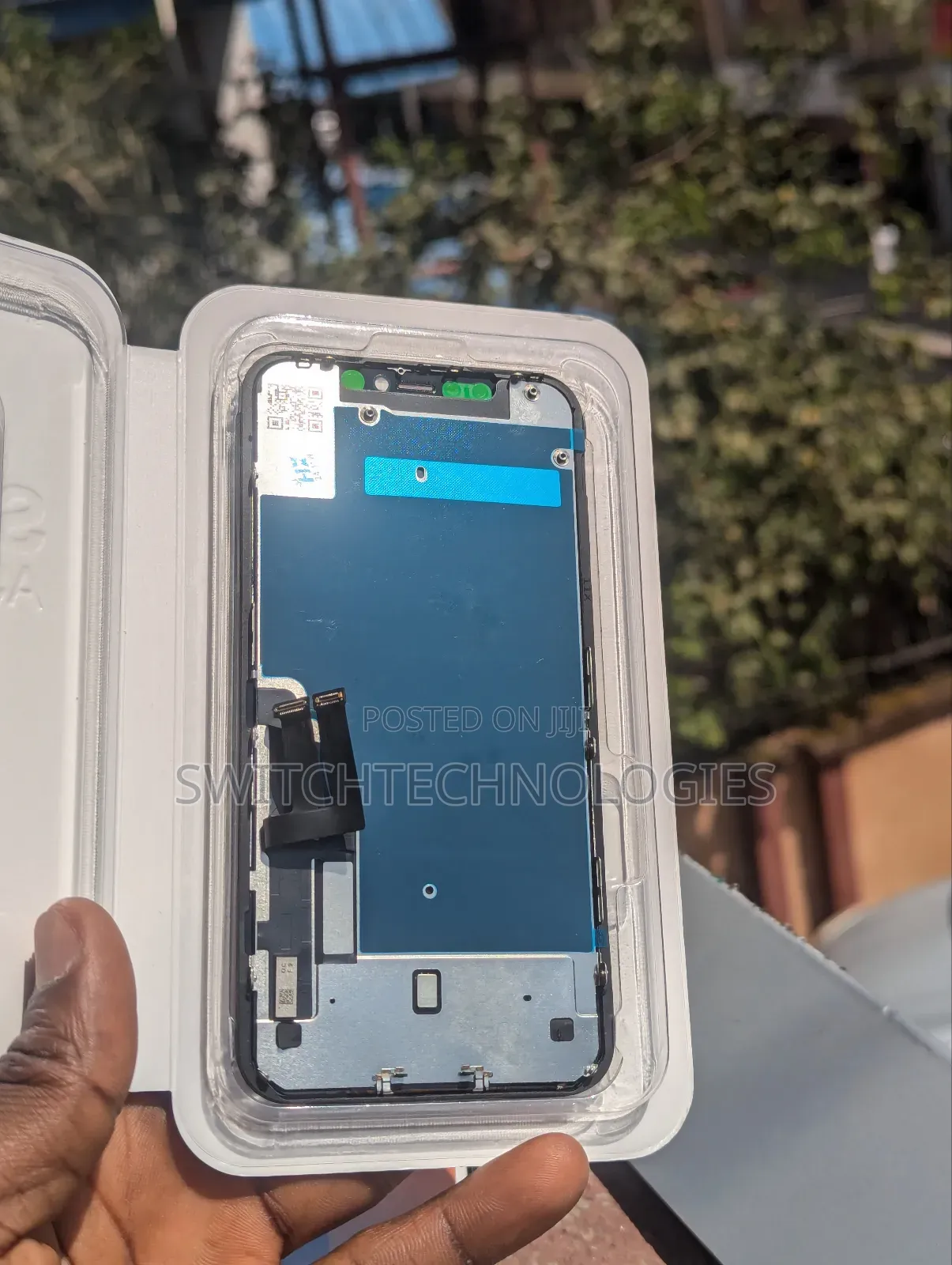 iPhone 11 Screen