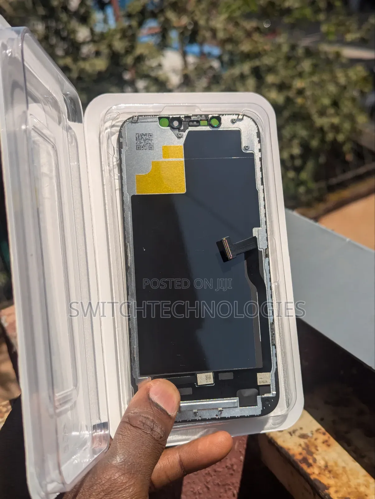 iPhone 12 Pro Max Screen