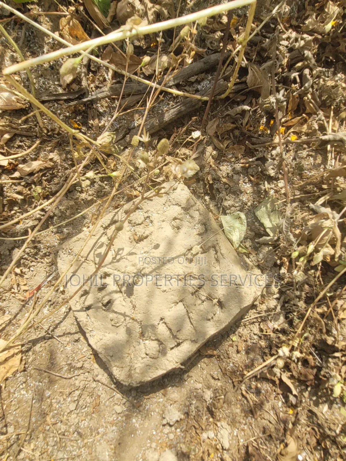 1100sqm Land for Sale at Kugbo Buildable and Livable