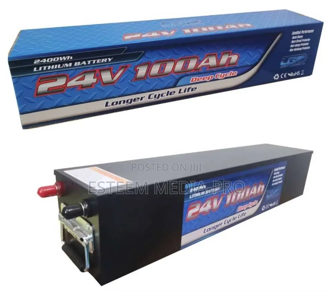Lithium Battery Pack for Inverter and Solar Panels Battery
