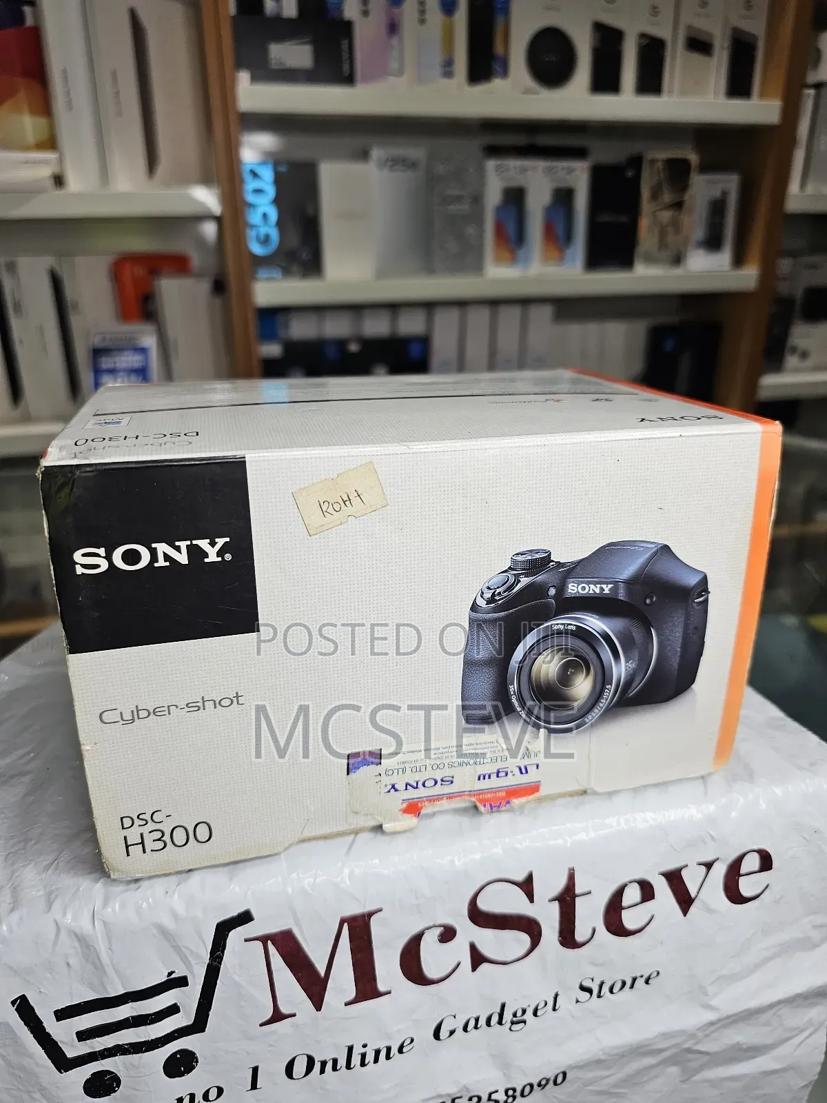 Sony Cybershot DSC-H300 Digital Camera