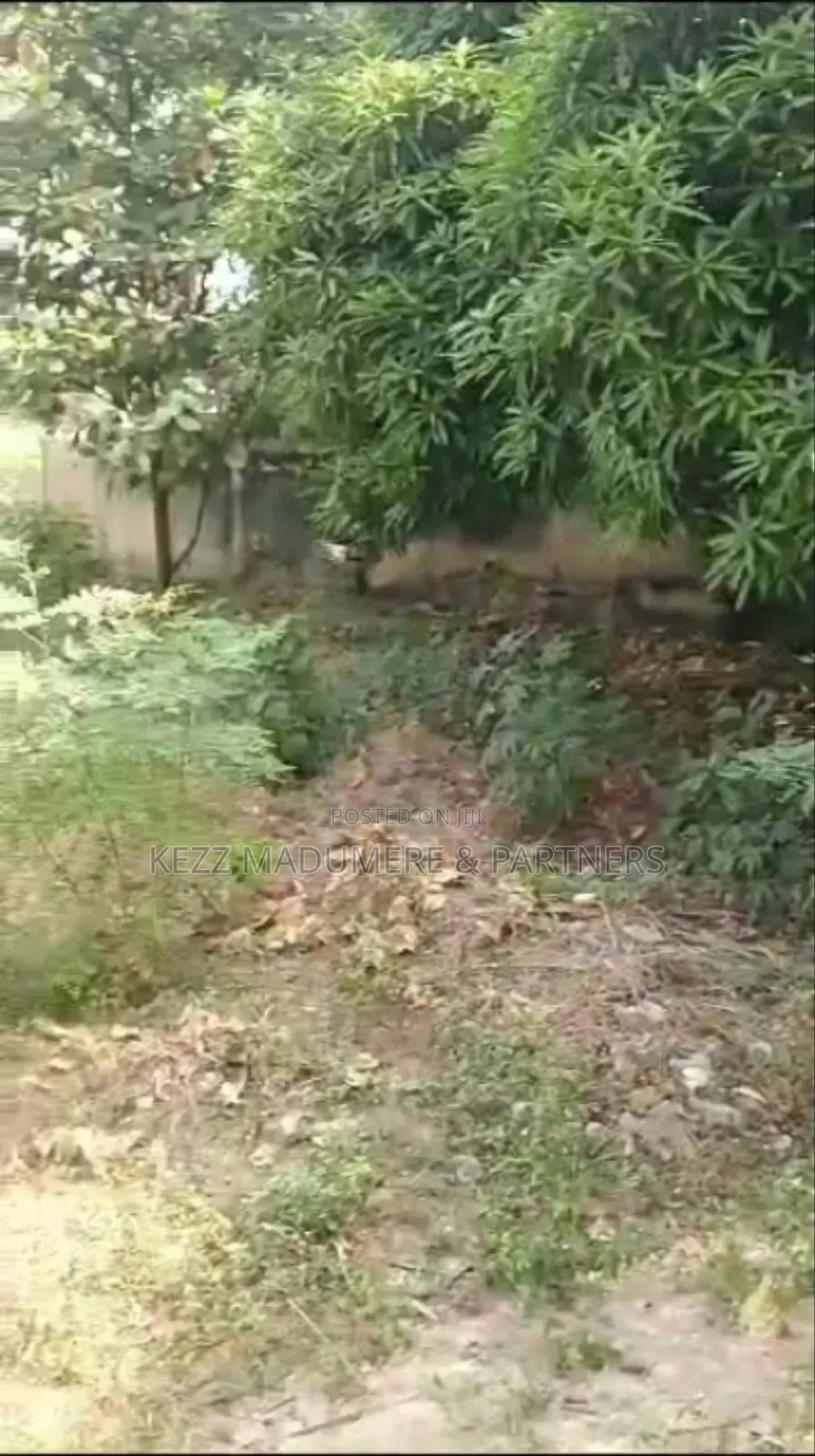 For Sale : 2728 Sqmts, at Ogui Road, Enugu