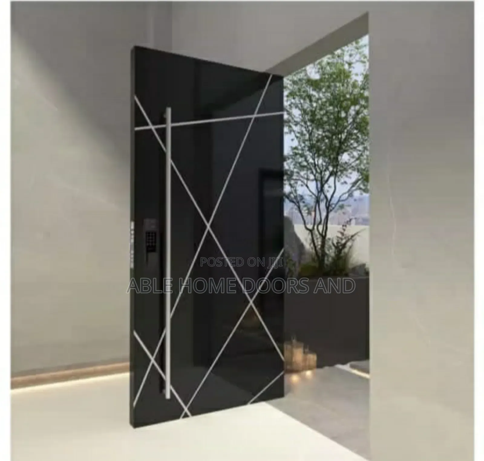 Pivot Door Black With Silver Line
