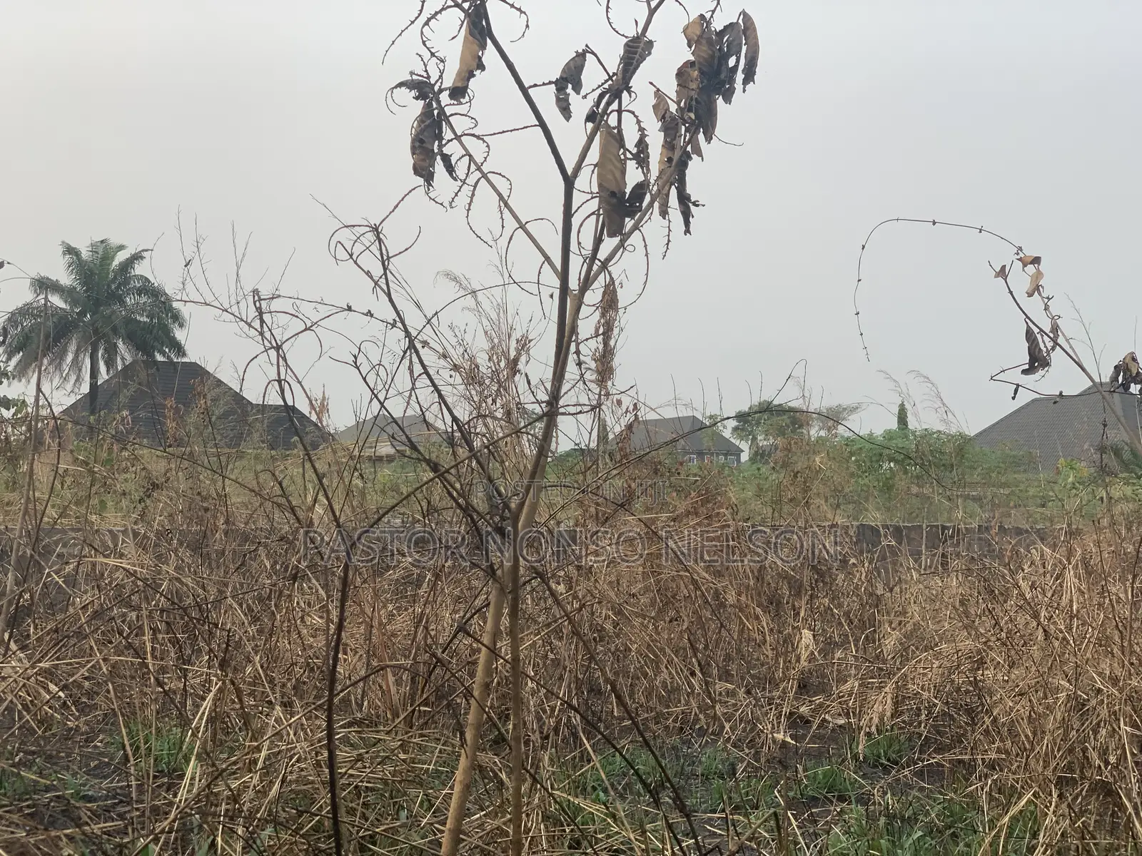 One Plot of Land at Avu, Few Mins Drive to Popular 'Pearl View School