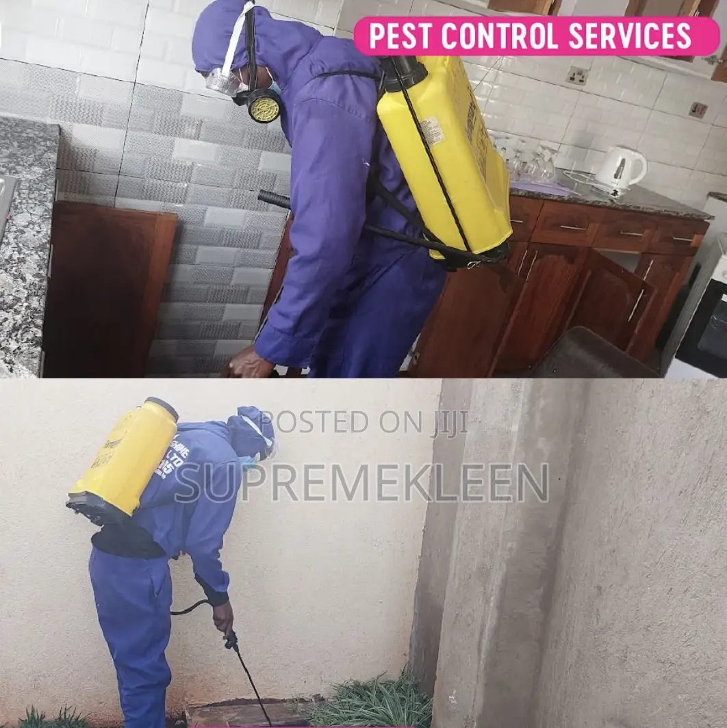 The Best House Cleaning/Fumigation Pest Control Service