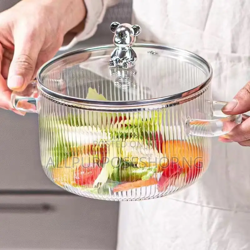 Borosilicate Induction Cooking Pot