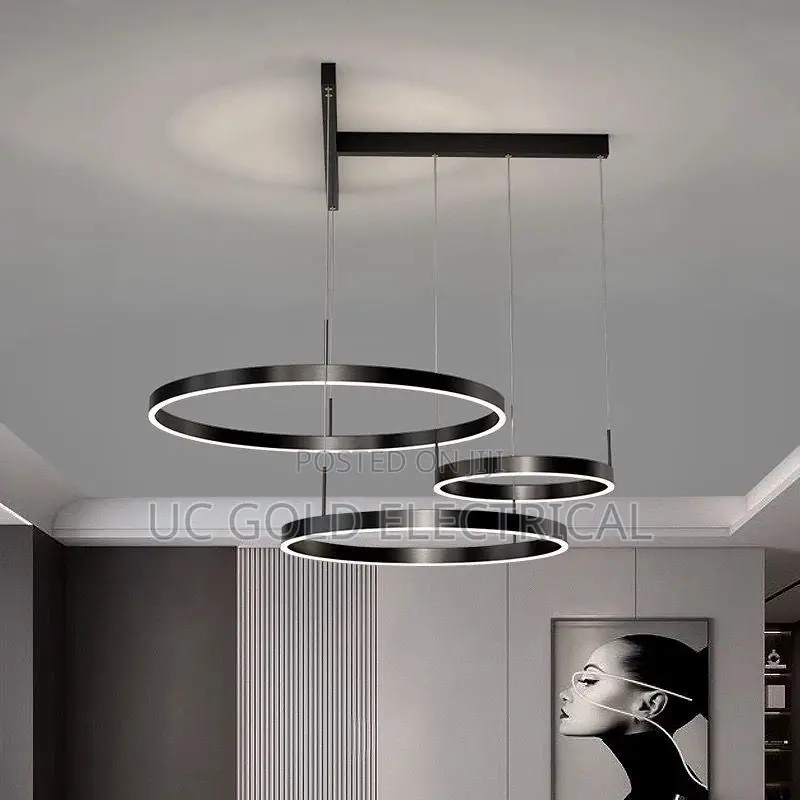 Modern Led Chandelier Indoor Lighting