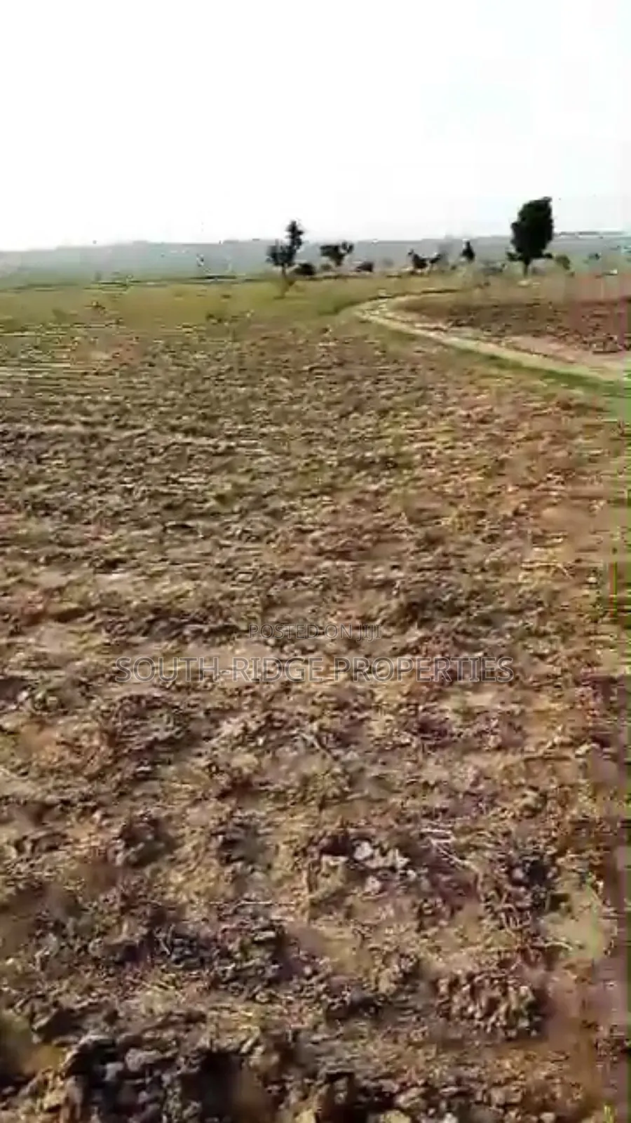 9.9ha Multipurpose Land With a Nagis C of O
