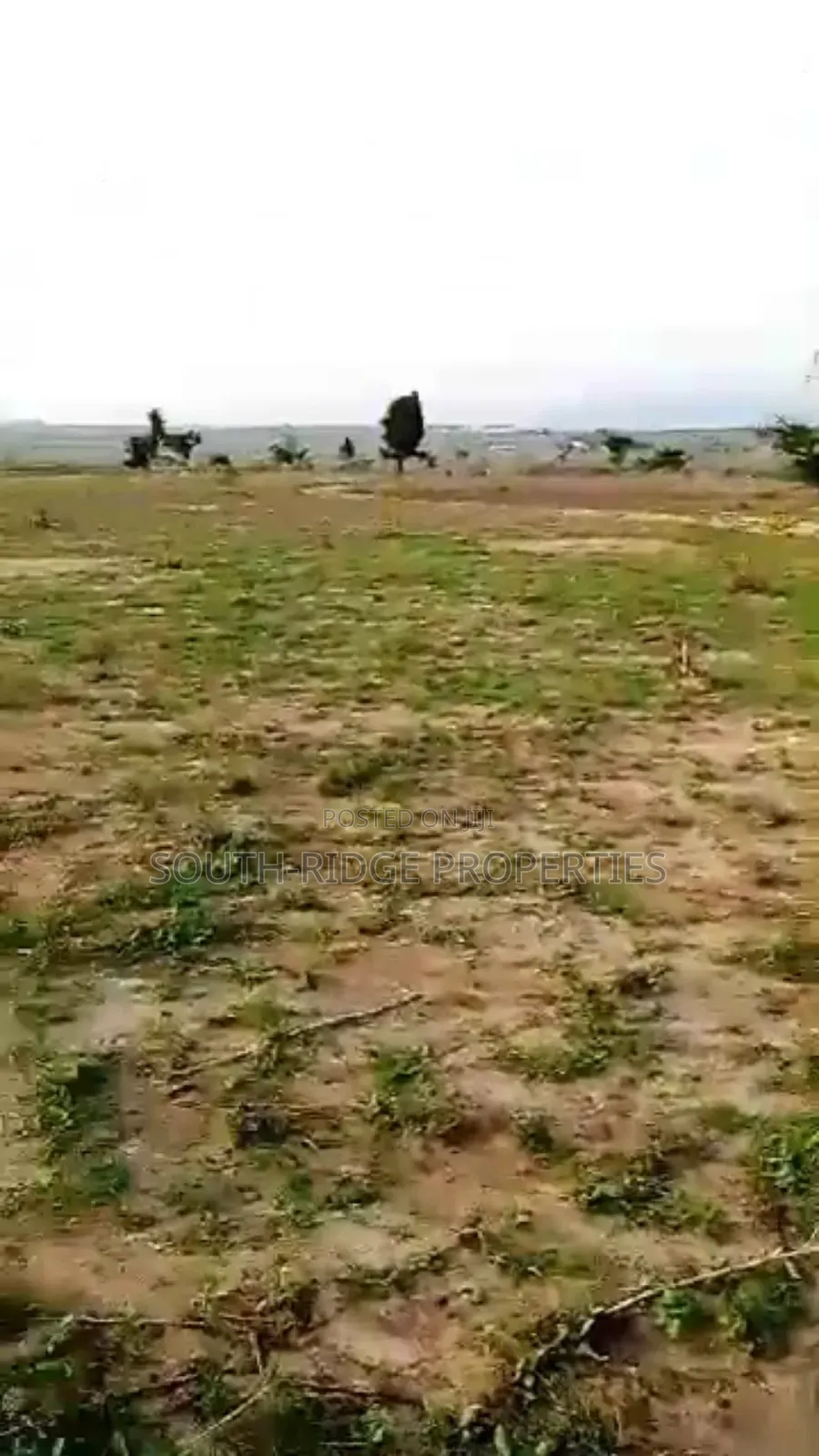 9.9ha Multipurpose Land With a Nagis C of O