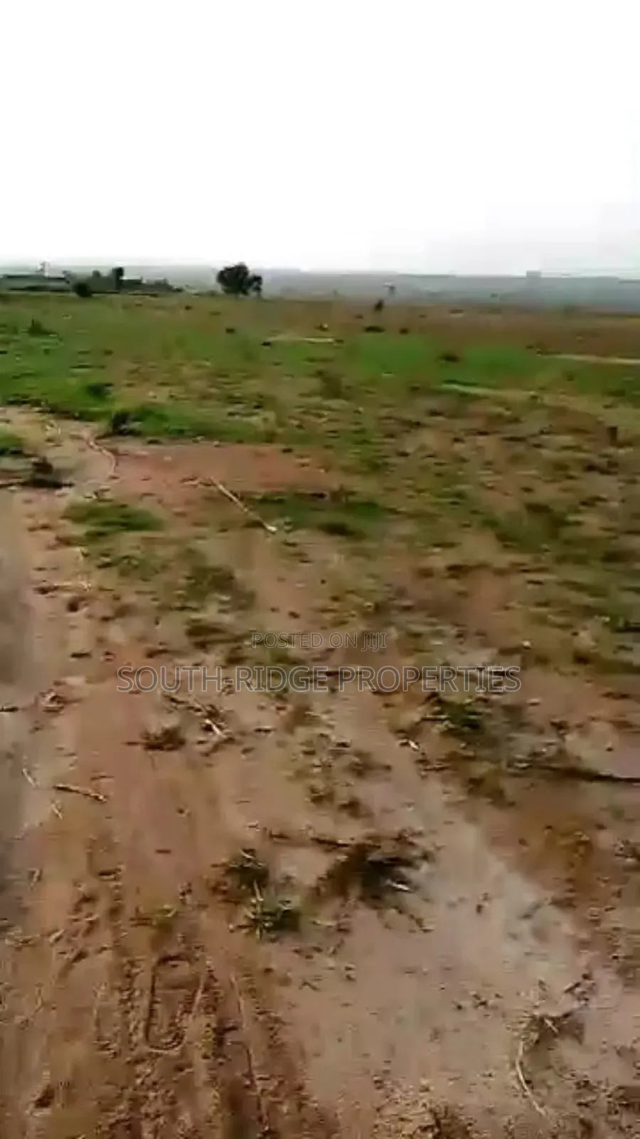 9.9ha Multipurpose Land With a Nagis C of O