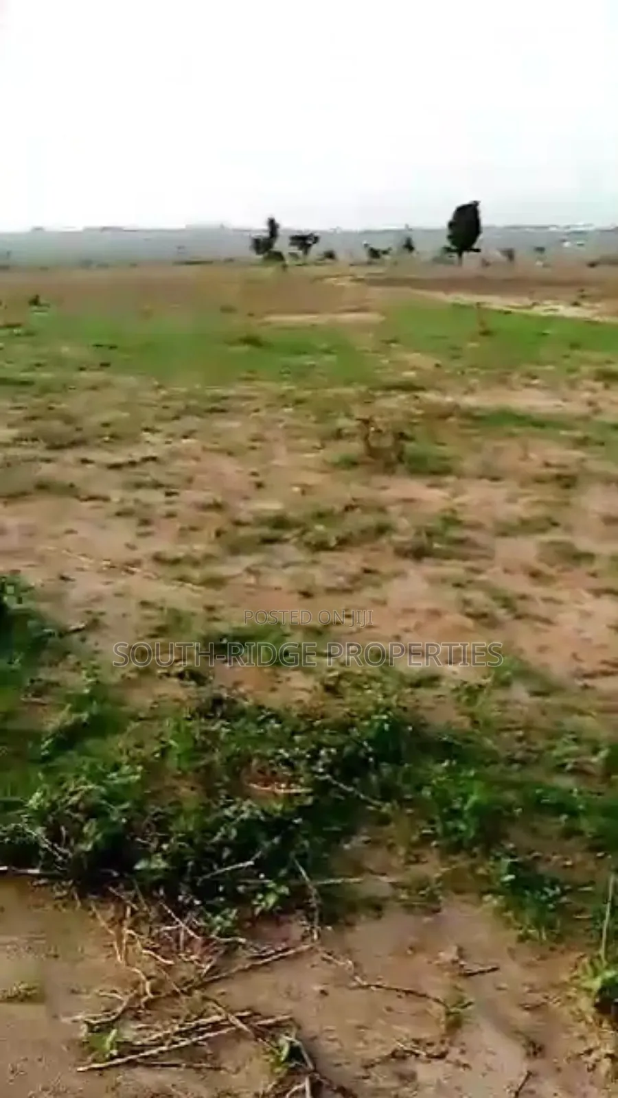 9.9ha Multipurpose Land With a Nagis C of O