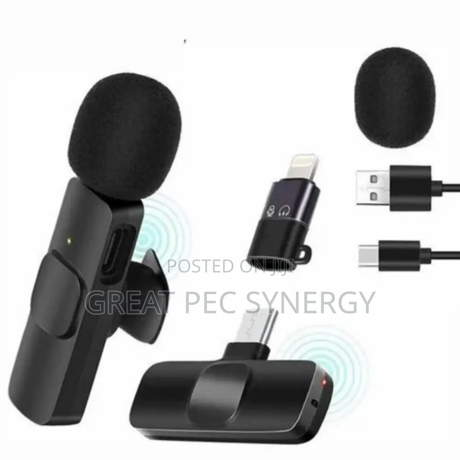 2 in 1 Wireless Microphone