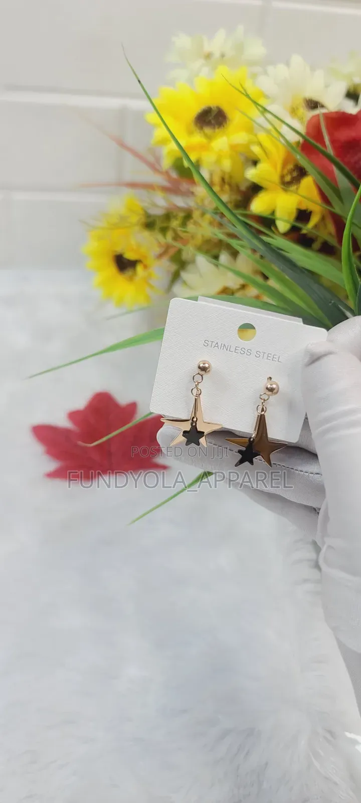 STAR Titanuim Earring