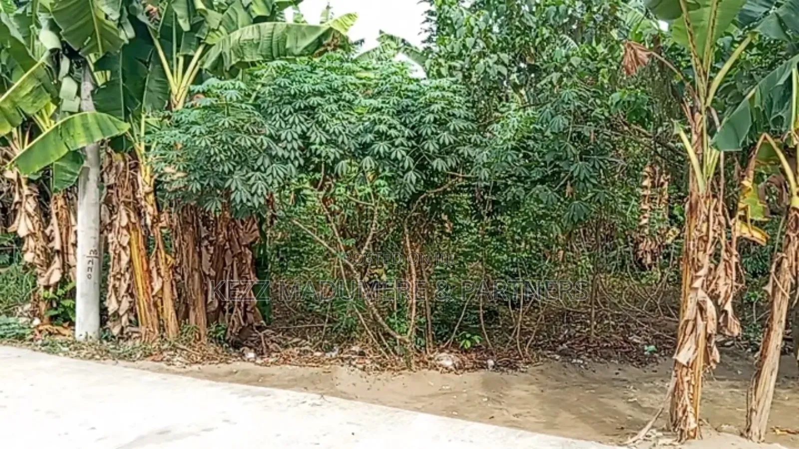 For Sale : 1 Plot at Majestic Estate, Nta Road,Ph