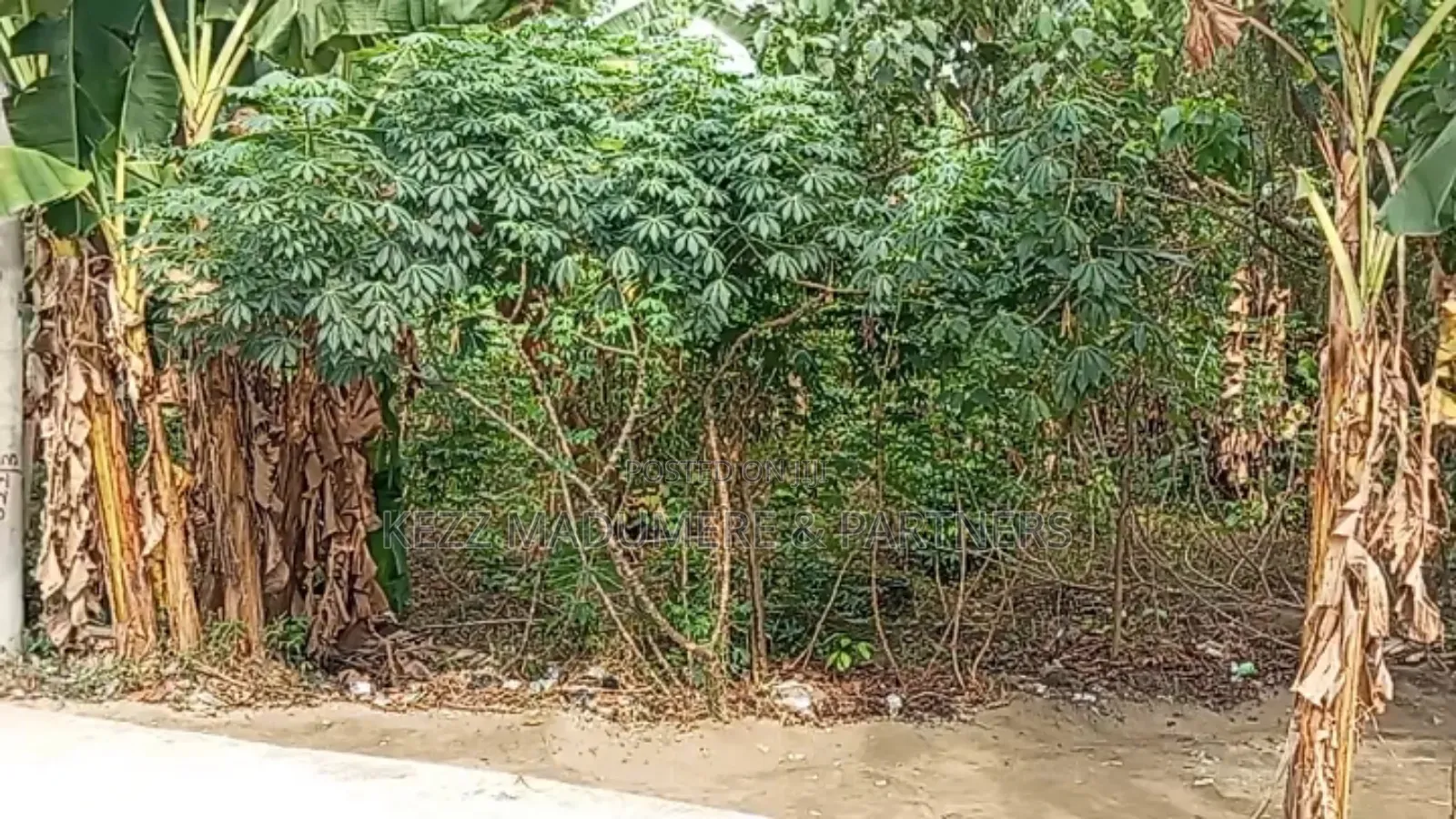 For Sale : 1 Plot at Majestic Estate, Nta Road,Ph