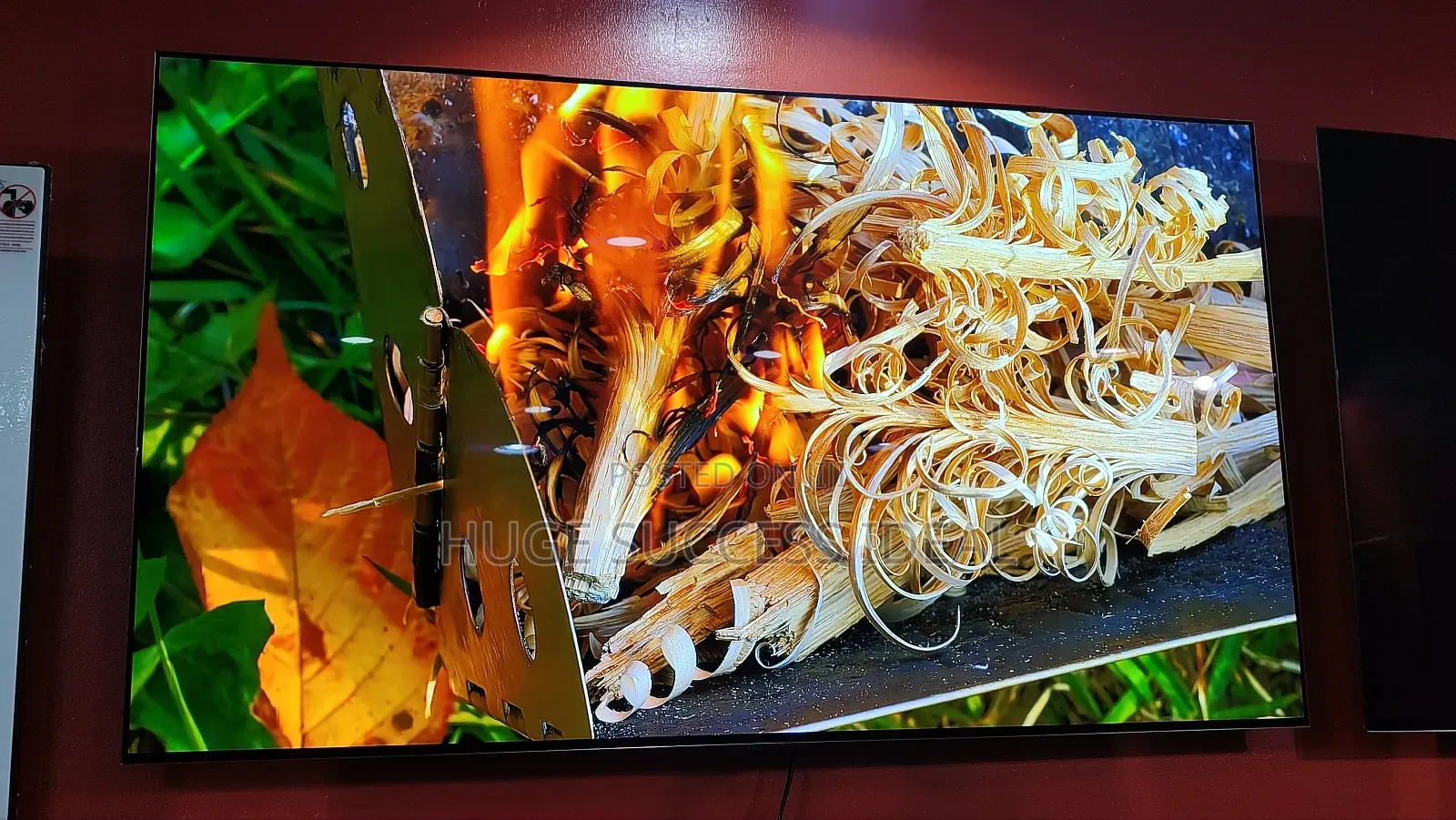 Lg Oled 55 Inch C3 Series Smart 4k Ultra Hd Hdr Tv 2023